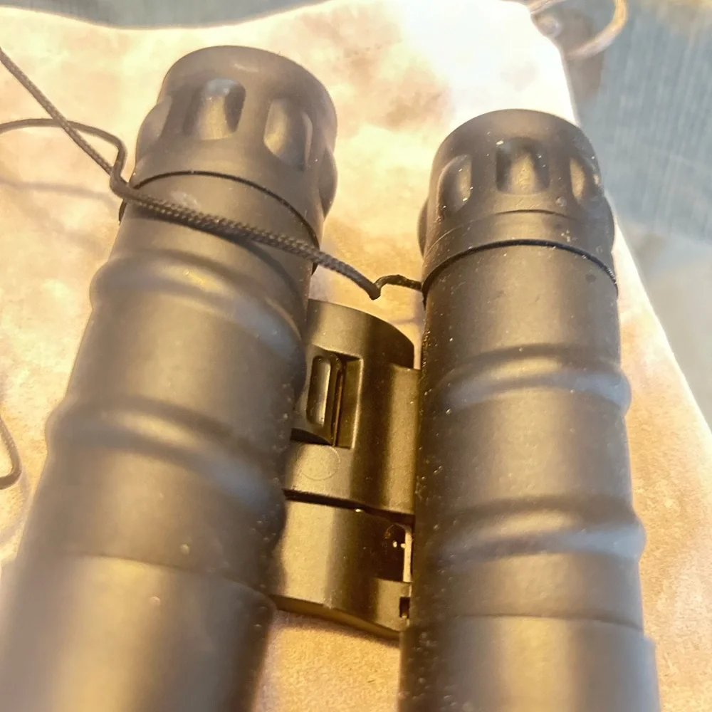 Tasco Black 10x25 Binoculars